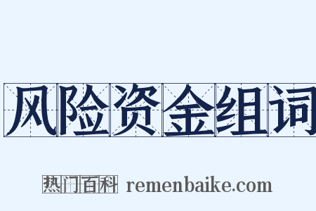 风险资金组词是什么意思的图片